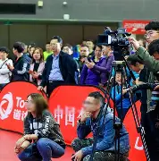 关于体育赛事吸引眼球，观众尽情欢乐的信息